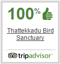 Thattekad Bird Sanctuary